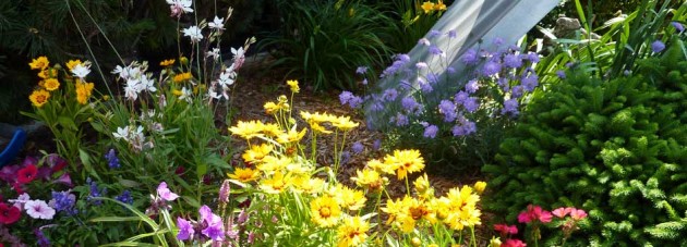 New Flowers in the sculpture garden