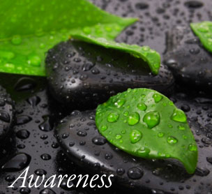 Cancer Nutrition and Enzymes Free Seminars