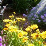 we take care of the flowers!
