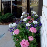 flower-box